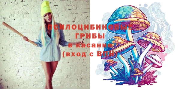 крисы Армянск