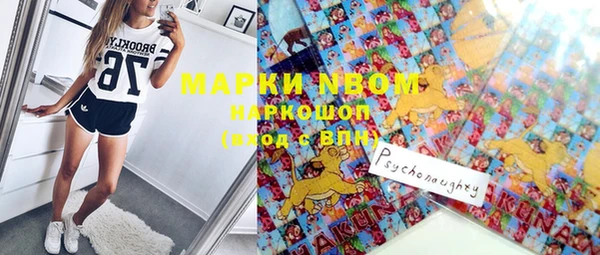 прущая мука Арсеньев