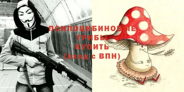 прущая мука Арсеньев