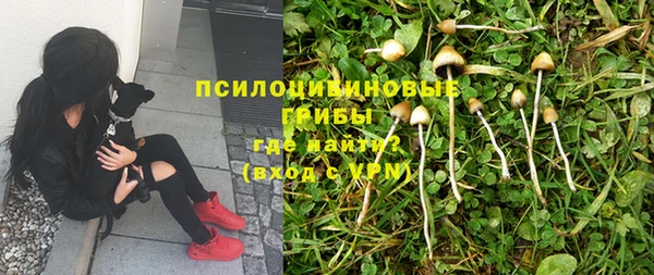 прущая мука Арсеньев