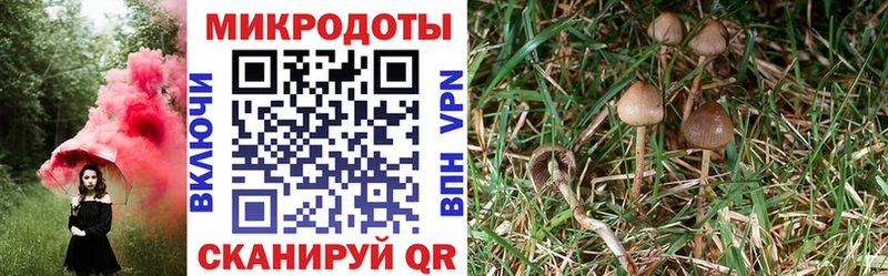 Псилоцибиновые грибы Psilocybine cubensis  купить наркоту  дарк нет какой сайт  Певек 