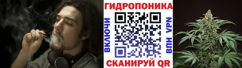 kraken онион  Певек  Шишки марихуана план 